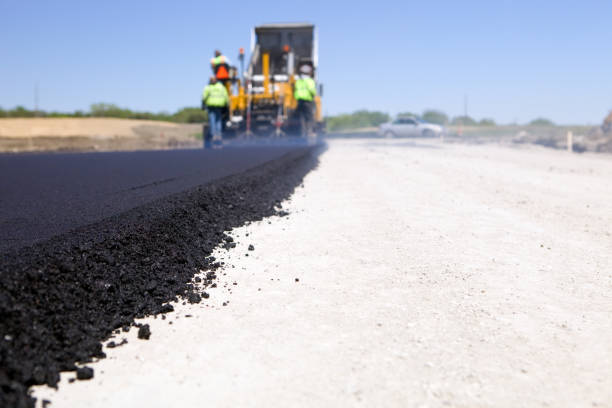 Best Local Driveway Pavers  in Janesville, MN